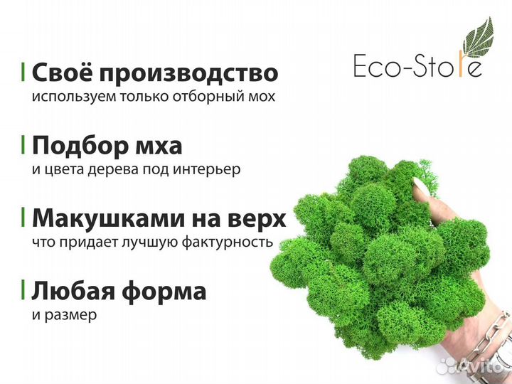 Стабилизированный мох.Логотип из мха ярко-зеленый