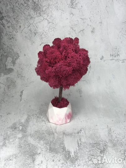 Дерево из стабилизированного мха