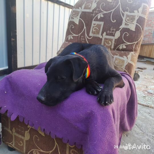 Мальчик Веня ищет дом