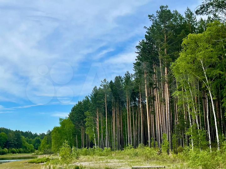 Участок 20 сот. (СНТ, ДНП)