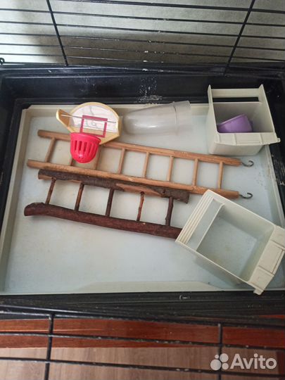 Клетка для среднего попугая