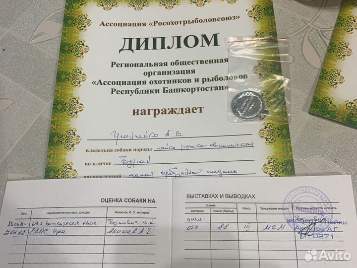 Кобель для вязки (рел)