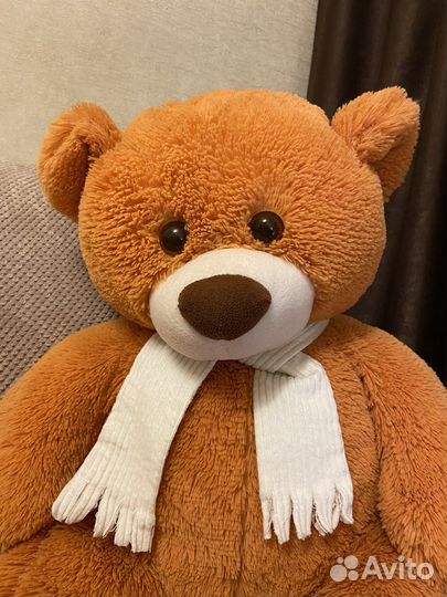 Плюшевый медведь