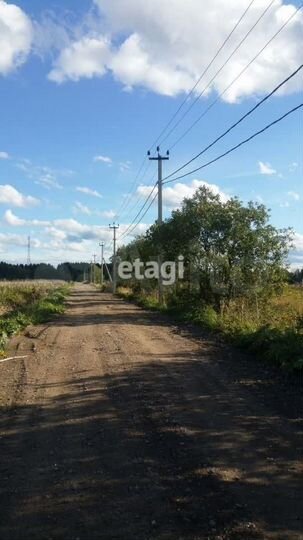 Участок 10 сот. (СНТ, ДНП)