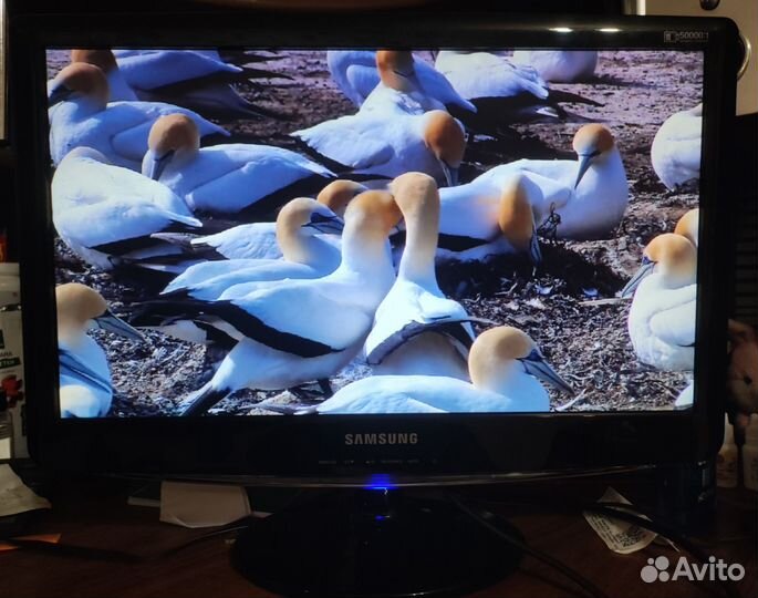 Монитор Samsung B2030N