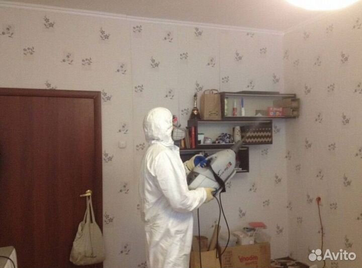 Средство для Уничтожения тараканов клопов клещей плесени