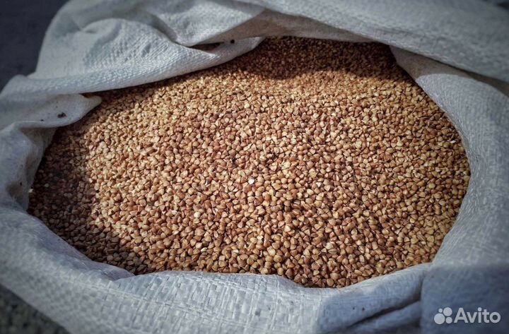 Гречка оптом