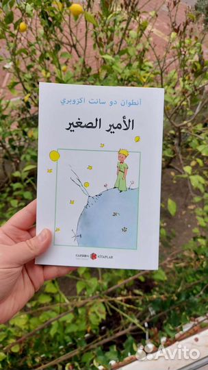 Книга Маленький принц на арабском языке