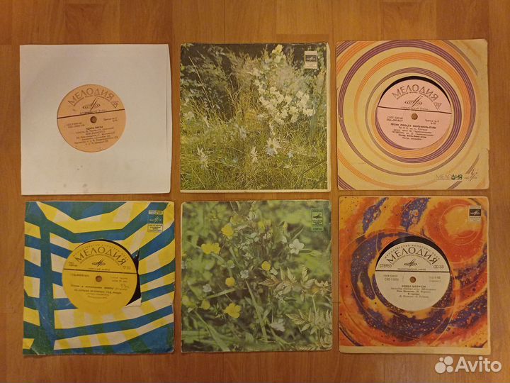 Виниловые пластинки (миньоны)