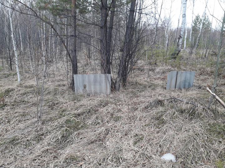 Участок 20 сот. (СНТ, ДНП)
