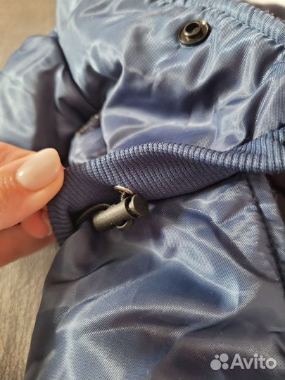 Одежда для собак мелких пород