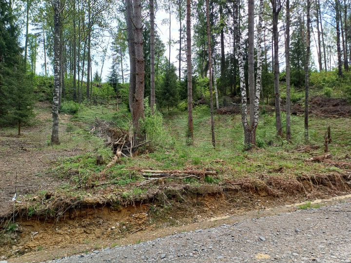 Участок 17,7 сот. (СНТ, ДНП)