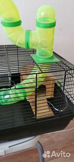 Клетка для хомяка