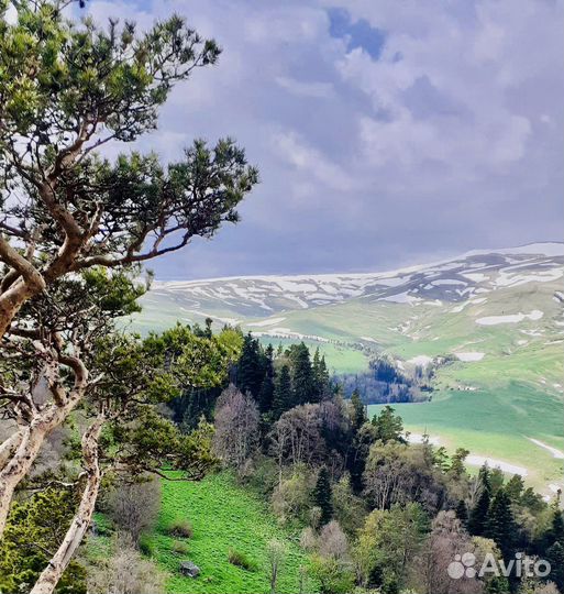 Трекинг-тур выходного дня Великолепие Лаго-Наки