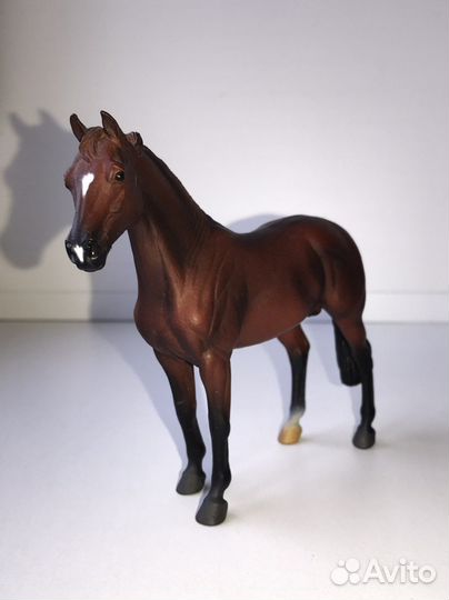 Ганноверский жеребец Collecta