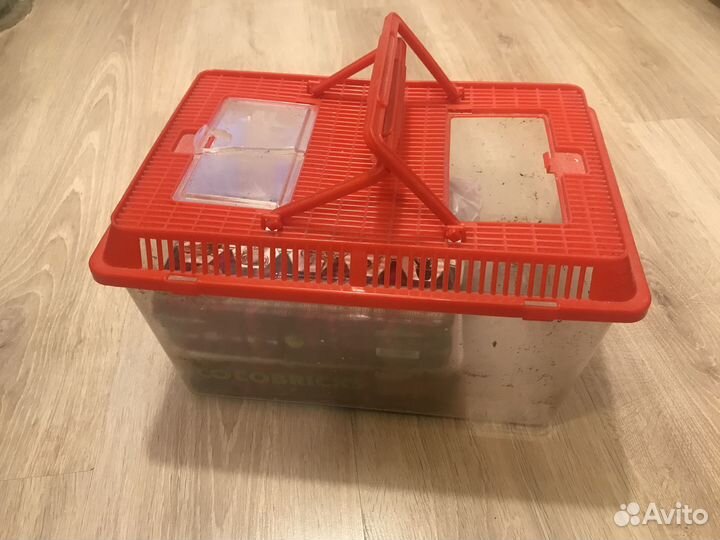 Контейнер-аквариум для земноводных (ахатин)