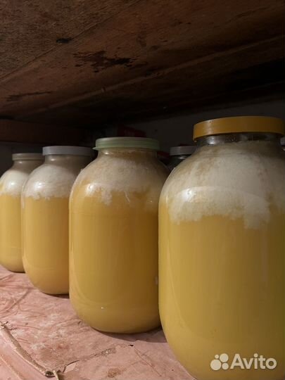 Натуральный мёд (подсолнух)