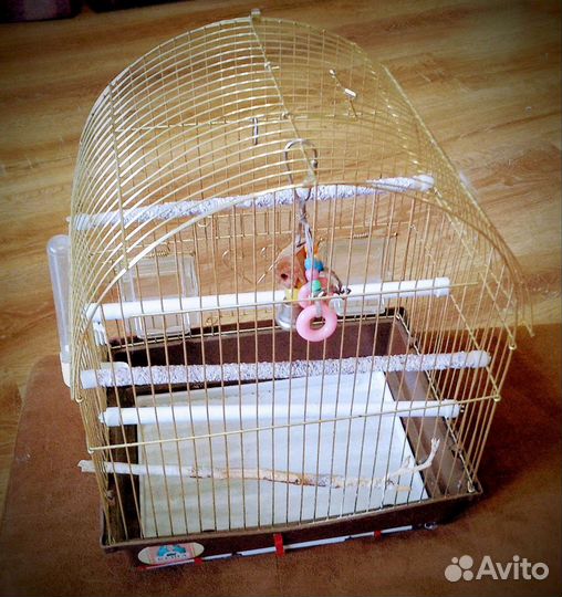 Клетка для попугаев