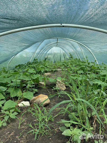 Сетка затеняющая