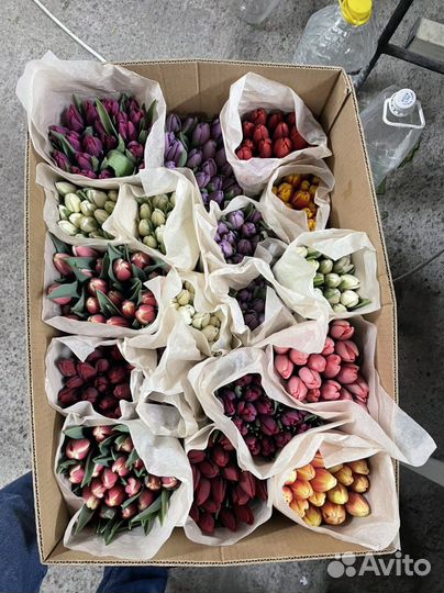 Тюльпаны к 8 марта оптом розница букеты