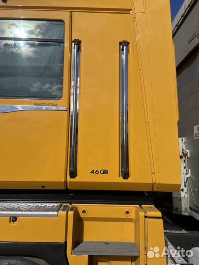 Поручни(ручки) из нержавеющей стали Renault Magnum