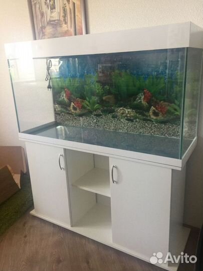 Аквариум