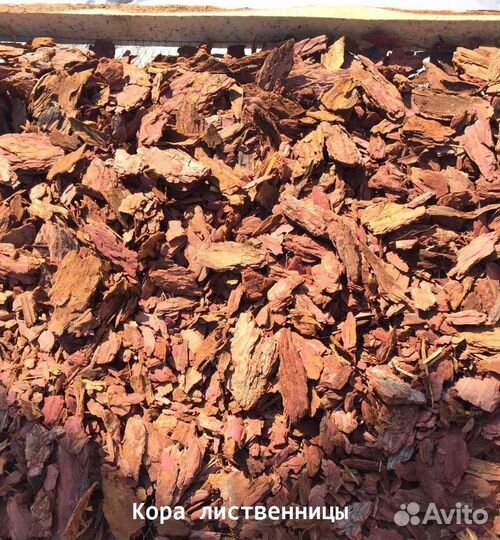 Мульча кора лиственницы