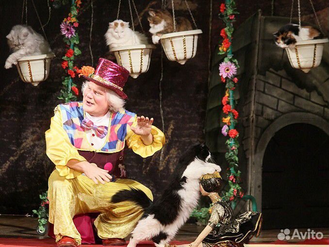 Билеты в театр Куклачёва