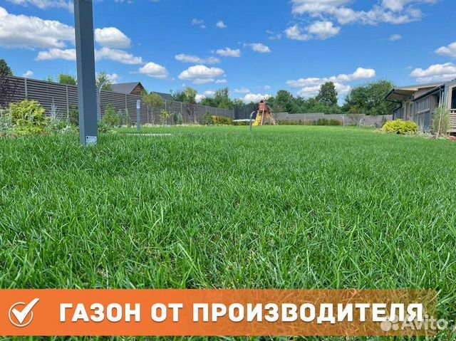 Газон рулонный с укладкой купить в Волоколамске | Товары для дома и ...