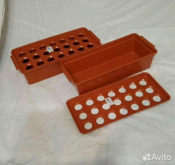 Контейнер для выращивания лука на подоконнике