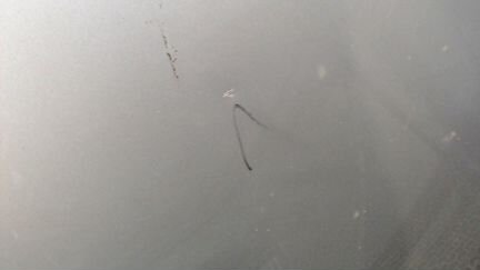 Капот BMW Z4 E85, 2005