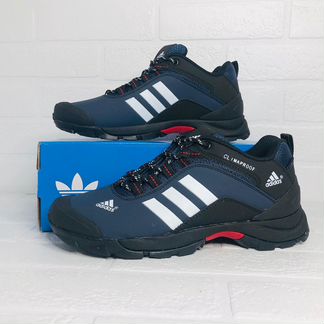 Кроссовки Adidas Terrex