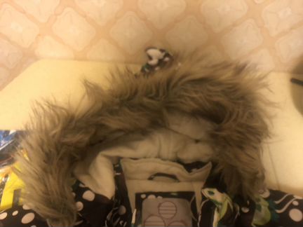 Зимний костюм huppa 104