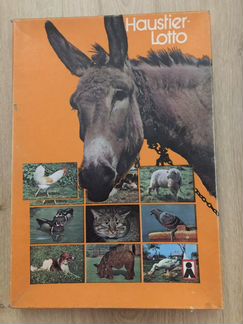 Лото домашние животные
