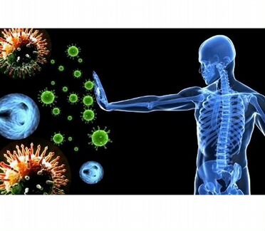 Вячеслав Дубынин 