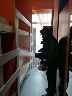 Дезинсекция, дератизация, дезинфекция