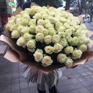 101 Роза