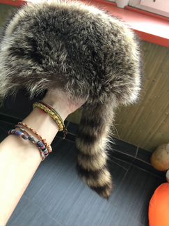 Шапка Frankie Morello мех енота