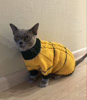 Одёжка для собаки и кошки