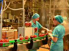 Рабочие на консервный вахта в Славянск на Кубани объявление продам