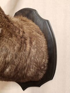 Чучело Козерога