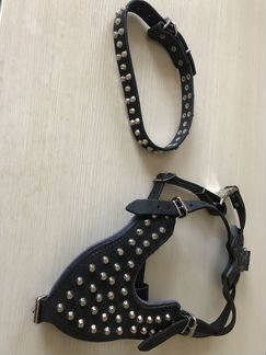 Ошейник и шлейка на крупную собаку