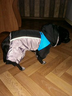 Комбинезон зимний