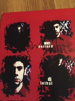 Виниловая пластинка Limp Bizkit (Автограф)