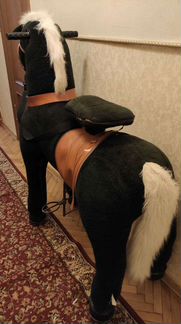 Поницикл большой