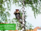 Вырубка, обрезка и удаление деревьев в Звенигороде объявление продам