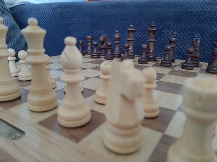 Шахматы